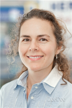 Dr. Cristina Constantinescu Mateo, DDS 